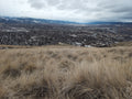 Legacy Meadow 002