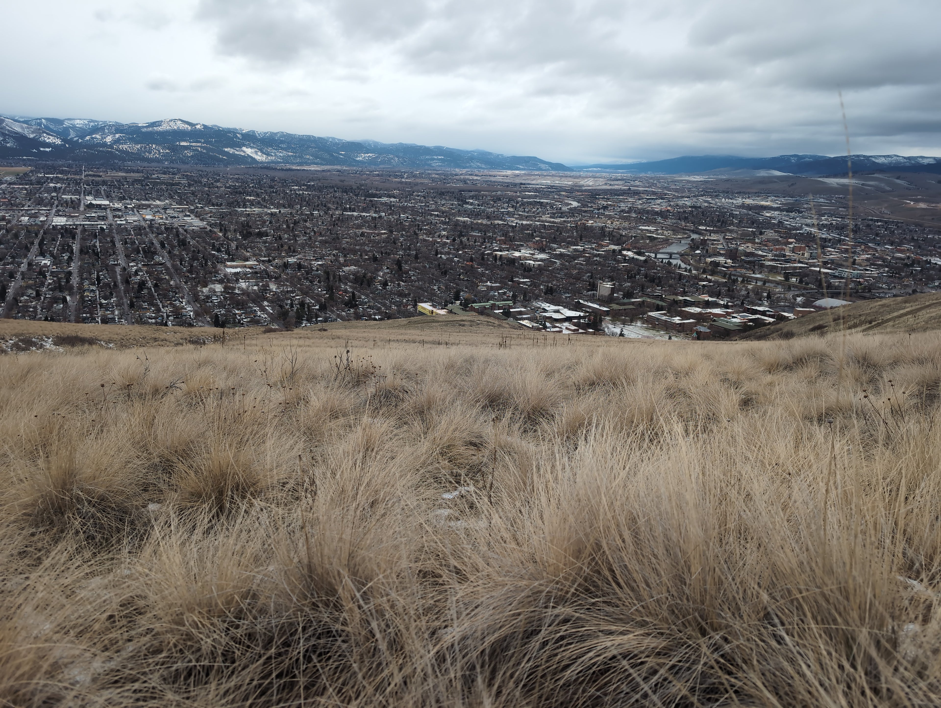 Legacy Meadow 002