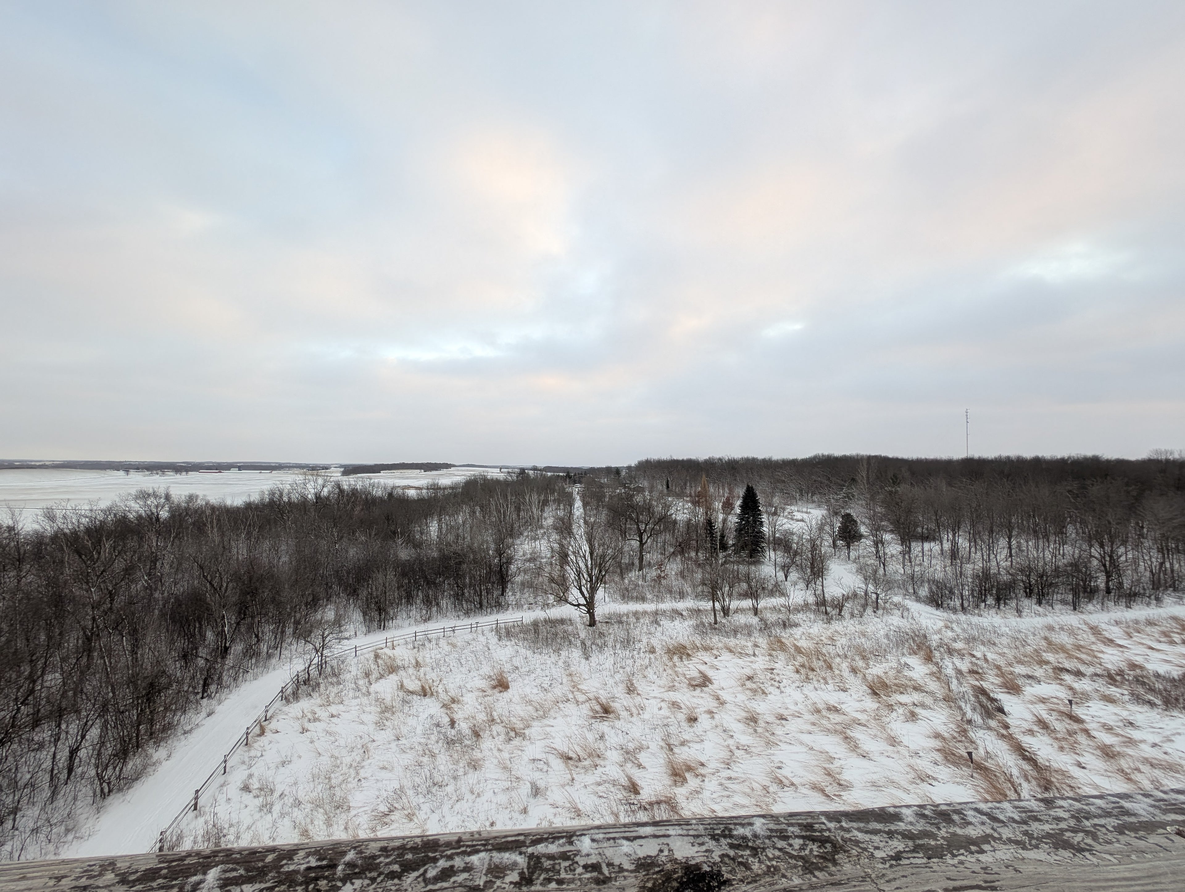 Legacy Meadow 004